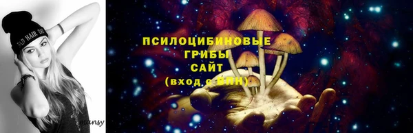 спайс Алексин