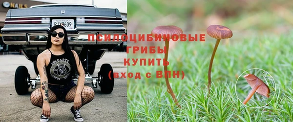 винт Алзамай