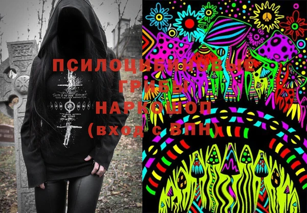 спайс Алексин