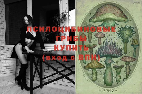 винт Алзамай